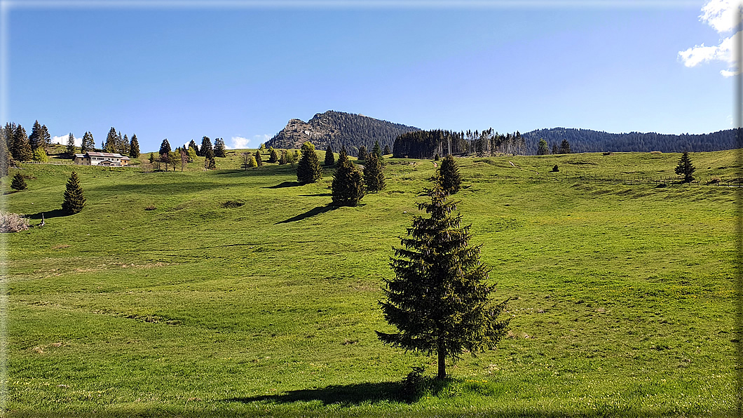 foto Piana del Vezzena